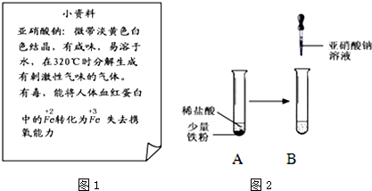 亚硝酸钠的化学式怎么写啊(亚硝酸钠与硫磺的反应的化学式)