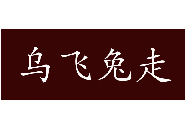 乌飞兔走的意思解释(乌飞兔走什么意思解释)